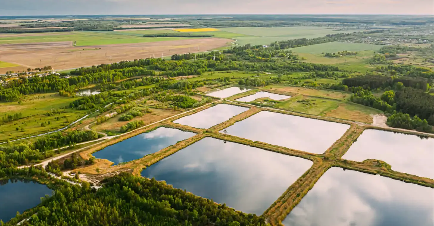A view of plantation field 