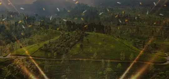 Celebrating excellence in the digital world