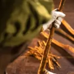 Closeup of Ceylon Cinnamon Process