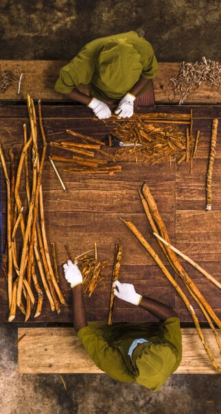 Cinnamon Process at Browns Plantation