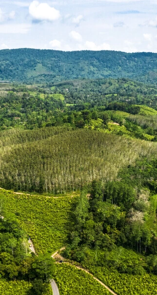 View of the Fields and Mountains